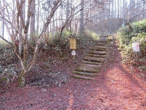 柳沢峠~倉掛山 ここからスタートします.jpg