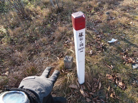 柳沢峠~倉掛山 藤谷ノ頭 四等三角点.jpg