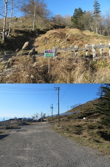 柳沢峠~倉掛山 板橋峠.jpg