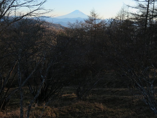 柳沢峠~倉掛山 さあ富士山に向かって来た道を戻ります.jpg