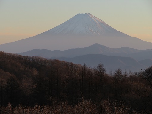 柳沢峠~倉掛山 夕富士.jpg