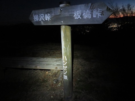 柳沢峠~倉掛山 ようやくハンゼノ頭.jpg