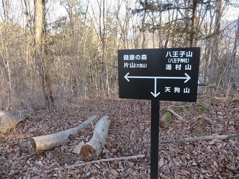 湯山白山淡雪要害大笠愛宕 天狗山から今度は片山へ向かう.jpg