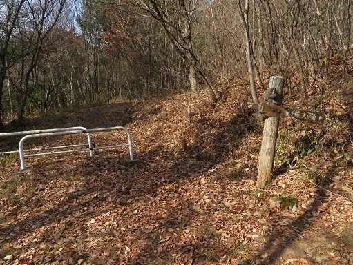 湯山白山淡雪要害大笠愛宕 ボロボロの標識 金子峠口に到着.jpg