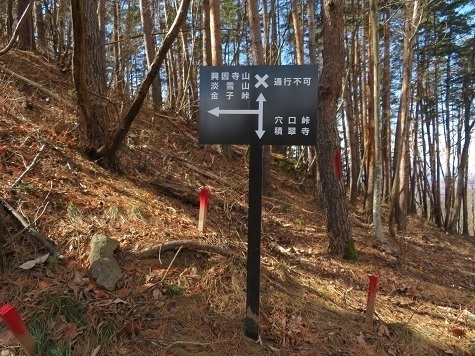 湯山白山淡雪要害大笠愛宕 穴口峠方面へ降ります.jpg