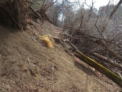 湯山白山淡雪要害大笠愛宕 途中道は崩れてますが問題ない.jpg