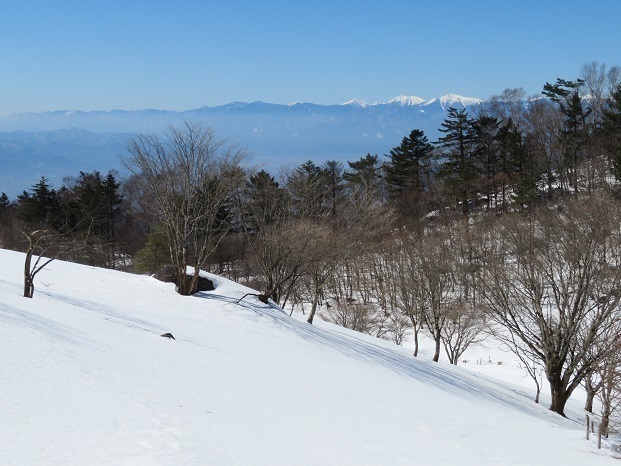 大菩薩嶺雪 南ア南部 荒川岳~赤石岳~聖岳~上河内岳~笊ヶ岳.jpg