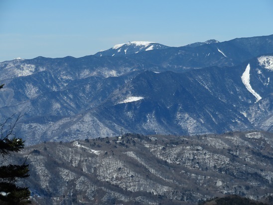 大菩薩嶺雪 金峰山.jpg