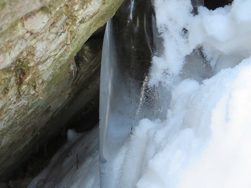 大菩薩嶺雪 岩中を覗き込むと透き通る氷の柱が.jpg