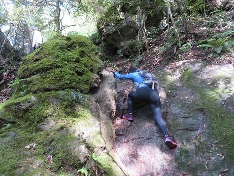 三徳山投入堂 意外にしっかりと登山です.jpg