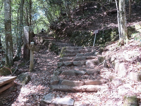 宮島弥山 石段を登る.jpg