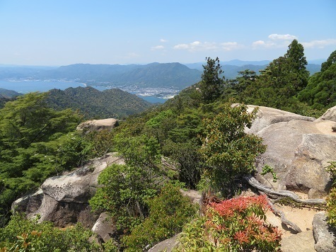 宮島弥山 森林限界???.jpg