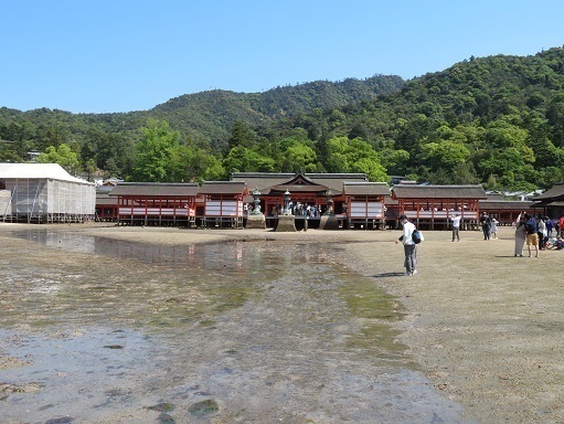 宮島弥山 厳島神社はすっかり干潮で潮が引いた.jpg
