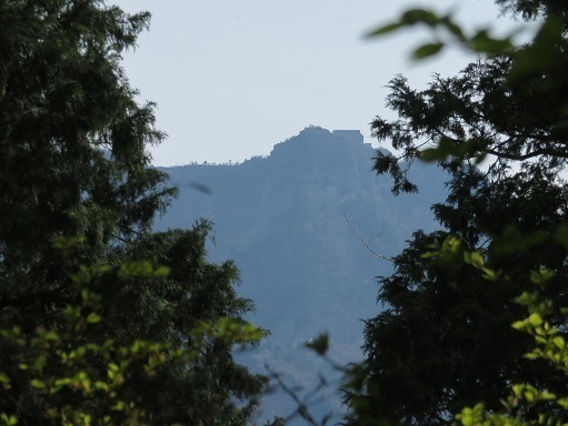 亀老山 少し下った所から見た山頂石鎚神社.jpg