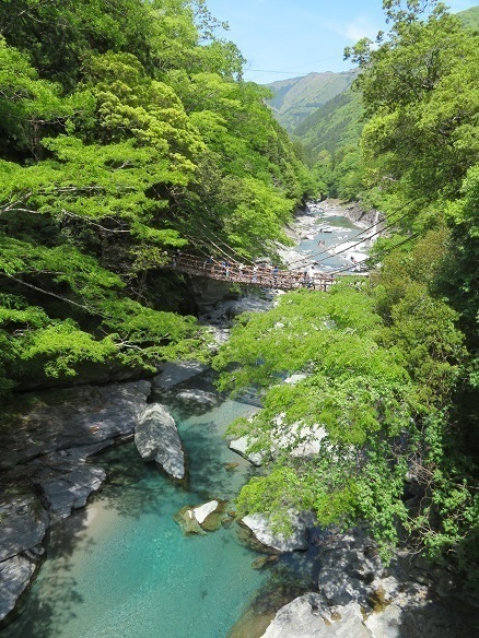 道後温泉 祖谷 かずら橋を俯瞰.jpg