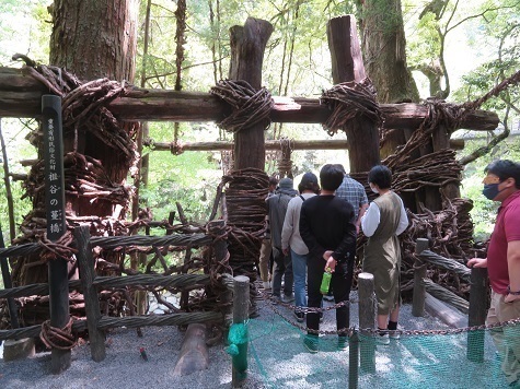 道後温泉 祖谷かずら橋入口.jpg