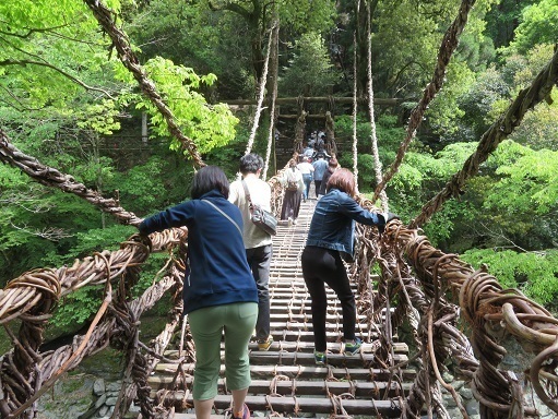 道後温泉 祖谷かずら橋 通行中.jpg