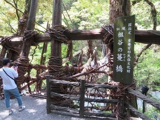 道後温泉 かずら橋 無事完了.jpg