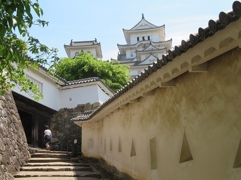 兵庫 では本丸へ.jpg
