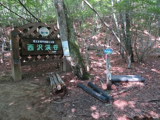 西沢渓谷 ここを右 鶏冠山登山口方面へ寄り道.jpg