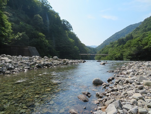 西沢渓谷 先ほどの二俣吊り橋を見る.jpg