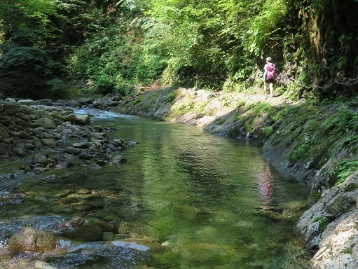 西沢渓谷 川沿いを進む.jpg