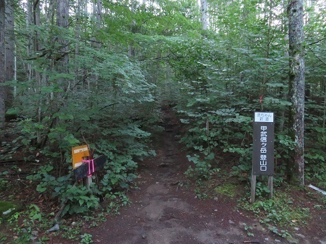 甲武信29 林道が終了して入山.jpg