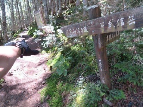 甲武信29 では雁峠へ向けて再スタート.jpg