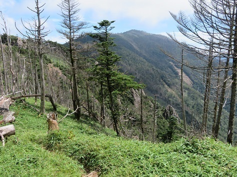 甲武信29 東破風山を通過すると雁坂嶺.jpg