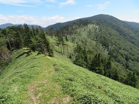 甲武信29 まずはあそこのピーク 水晶山へ.jpg
