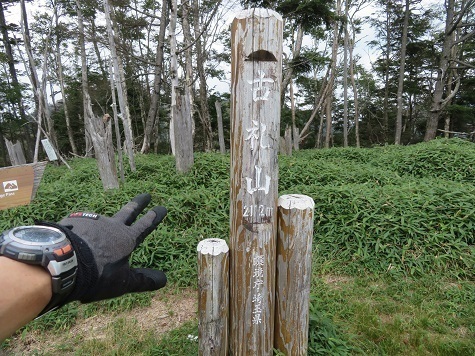甲武信29 古礼山へ登り返す.jpg