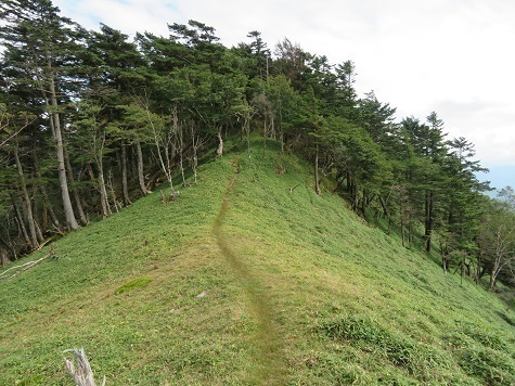 甲武信29 水晶山からはとてもキレイな道となる.jpg