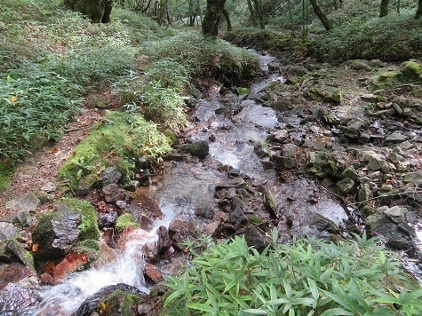甲武信29 降って数分で沢が出て来た.jpg
