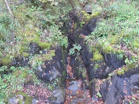 富士山14 15 ここが泉滝?涸れてるが・・・.jpg