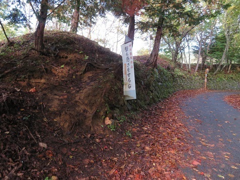 石保戸山 尾根に乗る.jpg