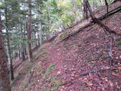 石保戸山 作業道に降り立つ.jpg