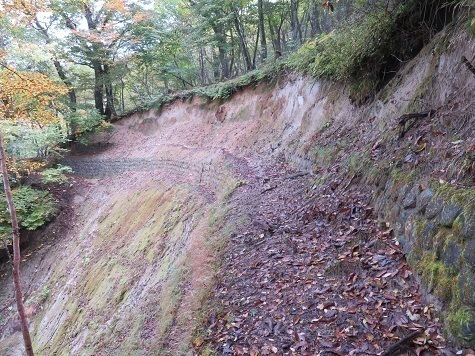 石保戸山 作業道はここだけザレてるので気を付ける.jpg