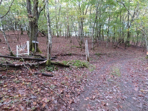 石保戸山 鳥小屋分岐点.jpg