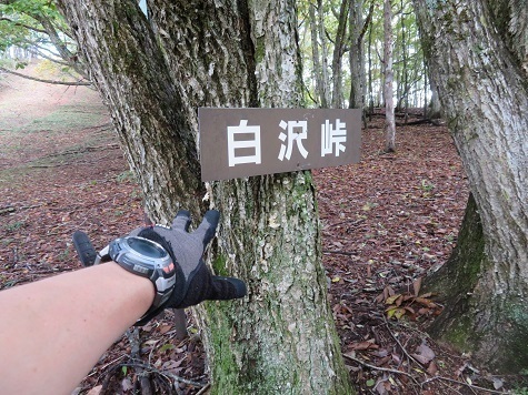 石保戸山 白沢峠に到着.jpg