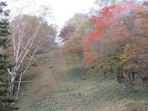 石保戸山 ここも紅葉進んでますね.jpg