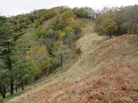 石保戸山 道はアップダウンが続く.jpg