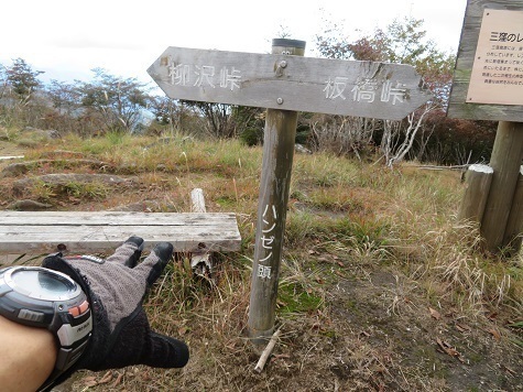 石保戸山 ハンゼノ頭.jpg