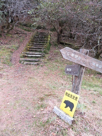 石保戸山 さて分岐まで戻って来た.jpg