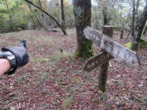 石保戸山 ココから竹針林道方面へ向かう.jpg