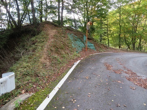 石保戸山 このカーブミラーからエントリー.jpg
