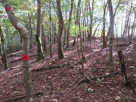 石保戸山 赤のマーキングがされている.jpg
