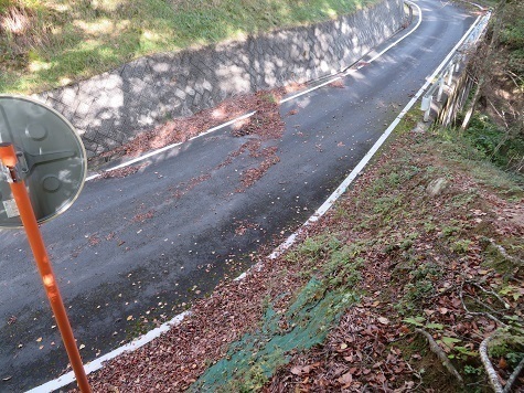 石保戸山 ここで計画より遅れを取り戻した.jpg