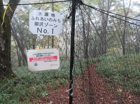 石保戸山 明るい時間は良かったが・・・.jpg