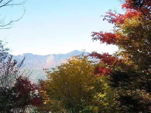 風不入 疲れを紅葉が和らげてくれるA.jpg