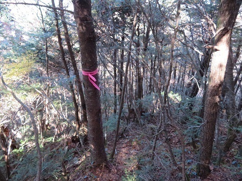 風不入 では鹿の土俵場へ向かってGO.jpg